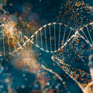 Biotechnology and the Bioeconomy in the Global Competitive Environment