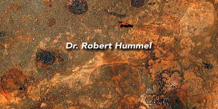 Alternative Futures for Corrosion and Degradation Research